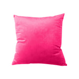 AKIS HOME Pack of 2 cushion covers velvet 45x45 cushion cover sofa cushion decoration single colour