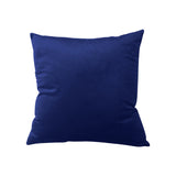 AKIS HOME Pack of 2 cushion covers velvet 45x45 cushion cover sofa cushion decoration single colour