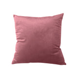 AKIS HOME Lot de 2 housses de coussin velours 45x45 housse de coussin canapé coussin décoration uni